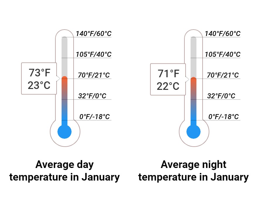 What to do in January in the Bahamas 2025 Winter Sun Expert